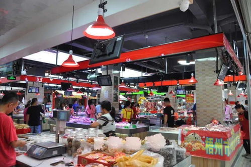 打造放心智慧“菜籃子” 新塘農(nóng)貿(mào)市場(chǎng)入選全國(guó)生鮮零售示范市場(chǎng)